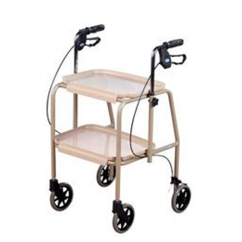 walking-trolley-with-brakes-5181-0-1-1-800x800