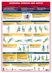 ante-post-natal-exercise-chart
