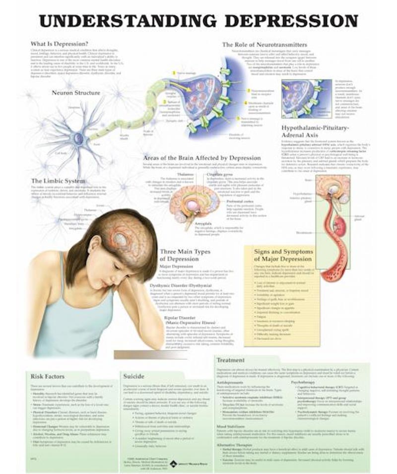 anatomical-chart-understanding-depression